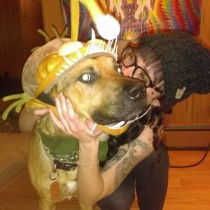 Meet your Posher, Kia